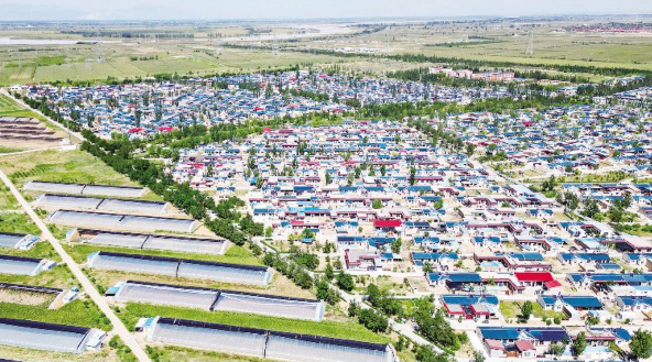 陶樂鎮(zhèn)廟廟湖村發(fā)展現代產業(yè)助力鄉(xiāng)村振興