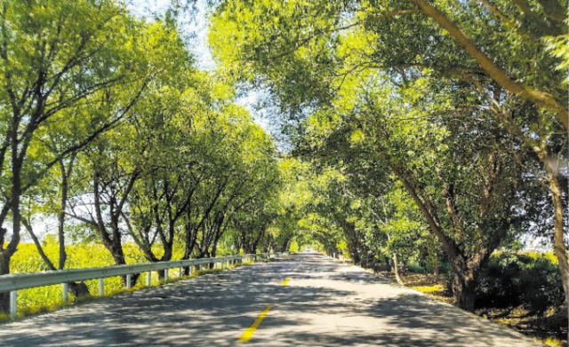 一路風景 一程詩意