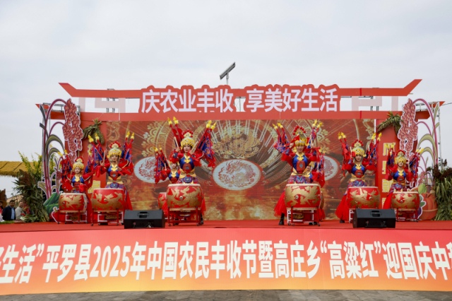 平羅縣：高粱紅遍老巷子歡歌笑語慶豐年
