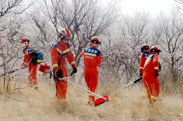 圖片3.png 圖片3.png