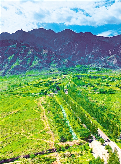     綠色——賀蘭山，寧夏的父親山。隨著近年來賀蘭山生態(tài)保衛(wèi)戰(zhàn)的打響，賀蘭山生態(tài)逐步恢復(fù)，是寧夏踐行“綠水青山就是金山銀山”理念的生動寫照。     本報記者 馬楠 攝