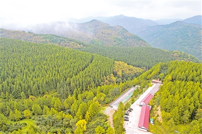     位于六盤山國(guó)家森林公園內(nèi)的王化南護(hù)林點(diǎn)。